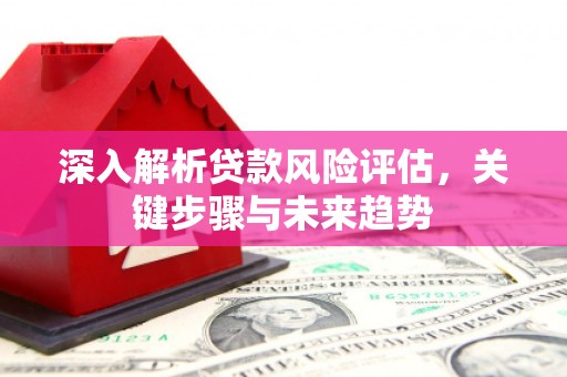 叶县深入解析贷款风险评估，关键步骤与未来趋势