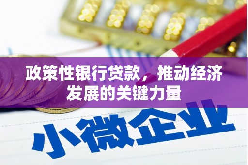 叶县政策性银行贷款，推动经济发展的关键力量