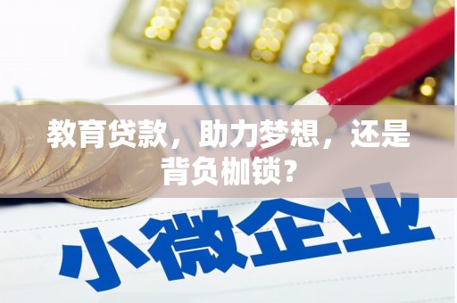 叶县教育贷款，助力梦想，还是背负枷锁？