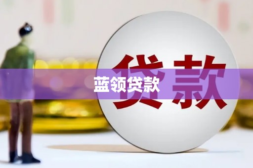 叶县蓝领贷款