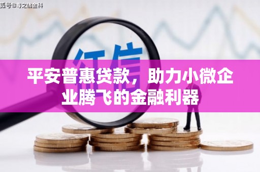 叶县平安普惠贷款，助力小微企业腾飞的金融利器