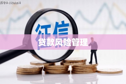 叶县贷款风险管理