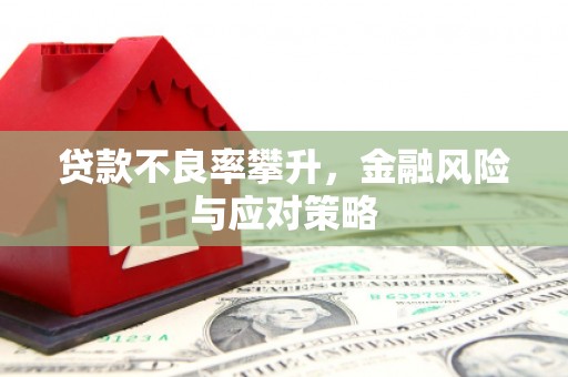 叶县贷款不良率攀升，金融风险与应对策略