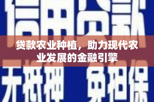 叶县贷款农业种植，助力现代农业发展的金融引擎