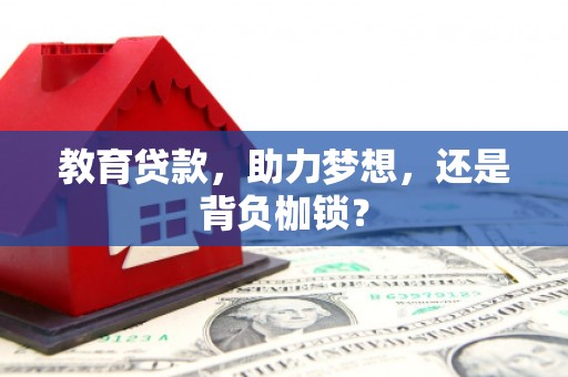 叶县教育贷款，助力梦想，还是背负枷锁？