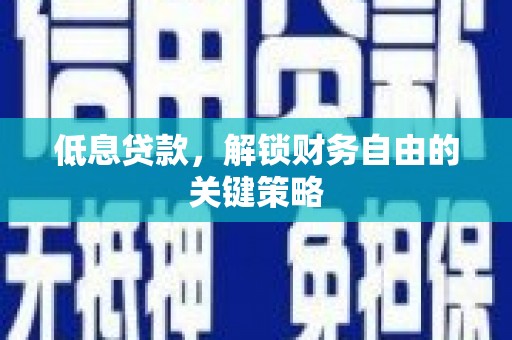叶县低息贷款，解锁财务自由的关键策略