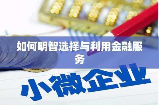 叶县如何明智选择与利用金融服务