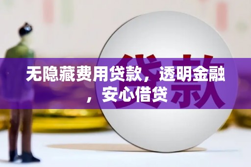 叶县无隐藏费用贷款，透明金融，安心借贷