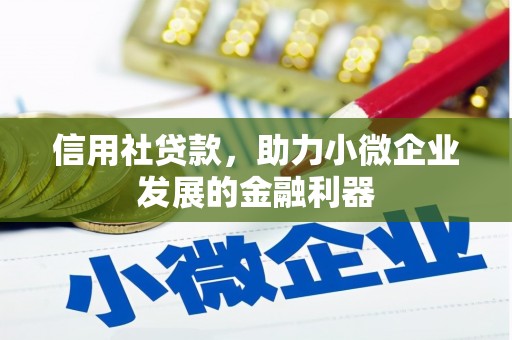 叶县信用社贷款，助力小微企业发展的金融利器