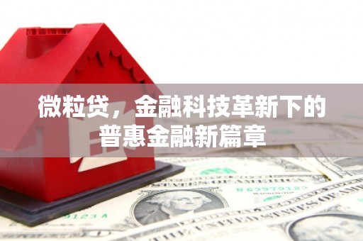 叶县微粒贷，金融科技革新下的普惠金融新篇章