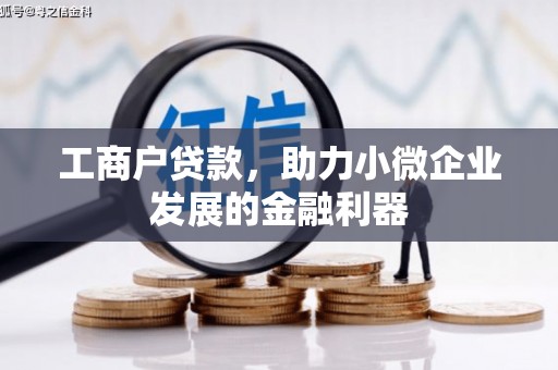 叶县工商户贷款，助力小微企业发展的金融利器