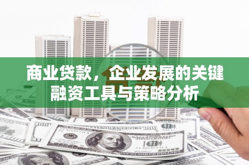 叶县商业贷款，企业发展的关键融资工具与策略分析