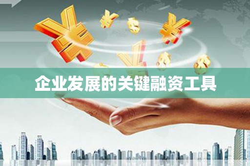 叶县企业发展的关键融资工具