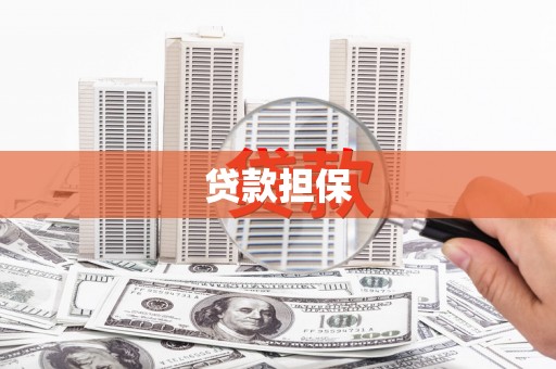 叶县贷款担保