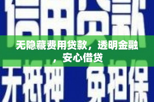 叶县无隐藏费用贷款，透明金融，安心借贷
