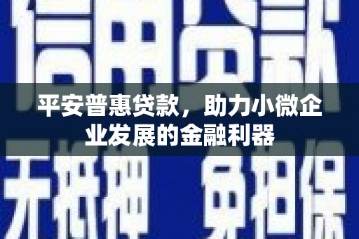 叶县平安普惠贷款，助力小微企业发展的金融利器