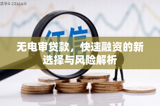 叶县无电审贷款，快速融资的新选择与风险解析