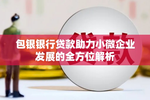 叶县包银银行贷款助力小微企业发展的全方位解析