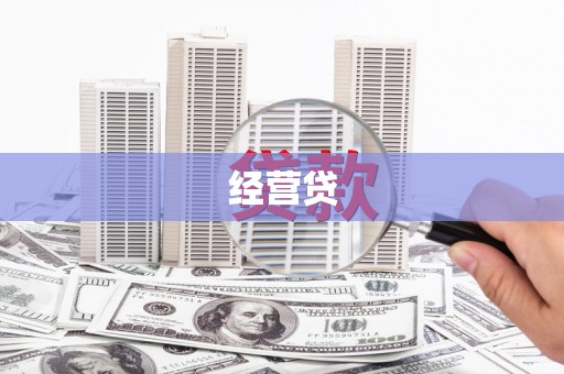 叶县经营贷