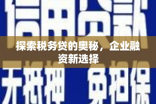 叶县探索税务贷的奥秘，企业融资新选择