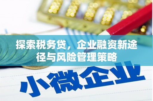 叶县探索税务贷，企业融资新途径与风险管理策略
