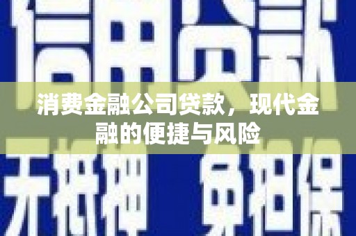 叶县消费金融公司贷款，现代金融的便捷与风险