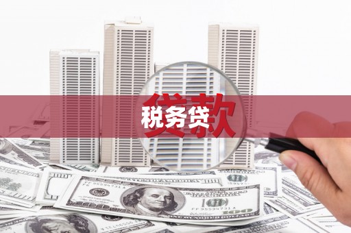 叶县税务贷