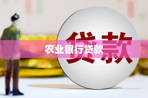 叶县农业银行贷款