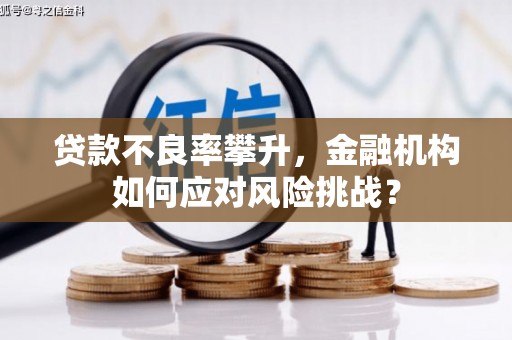叶县贷款不良率攀升，金融机构如何应对风险挑战？