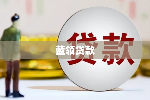 叶县蓝领贷款