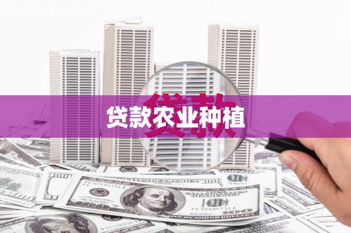 叶县贷款农业种植