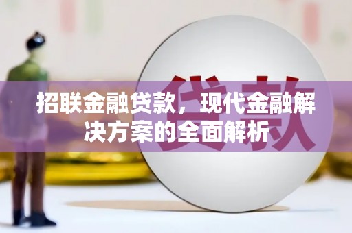 叶县招联金融贷款，现代金融解决方案的全面解析