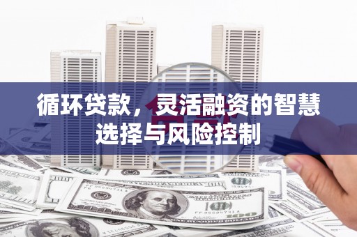 叶县循环贷款，灵活融资的智慧选择与风险控制