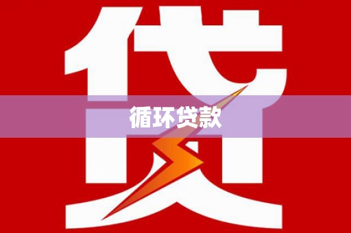 叶县循环贷款