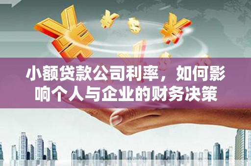 叶县小额贷款公司利率，如何影响个人与企业的财务决策