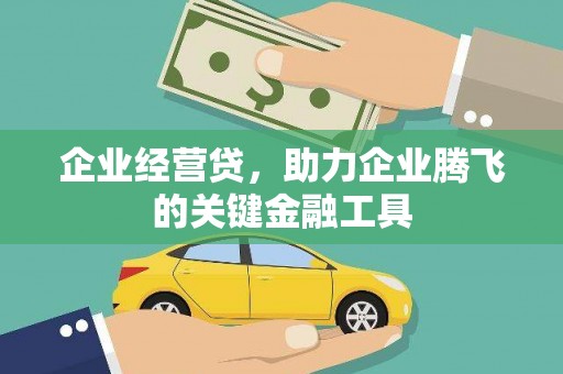 叶县企业经营贷，助力企业腾飞的关键金融工具