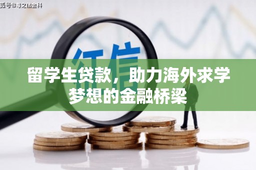 叶县留学生贷款，助力海外求学梦想的金融桥梁