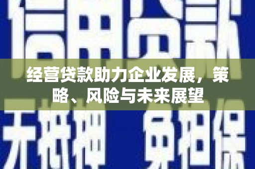 叶县经营贷款助力企业发展，策略、风险与未来展望