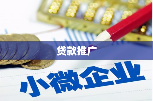 叶县贷款推广