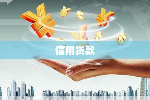 叶县信用贷款