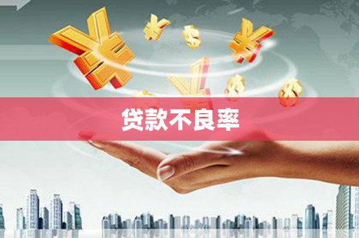 叶县贷款不良率