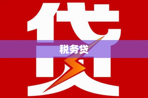 叶县税务贷
