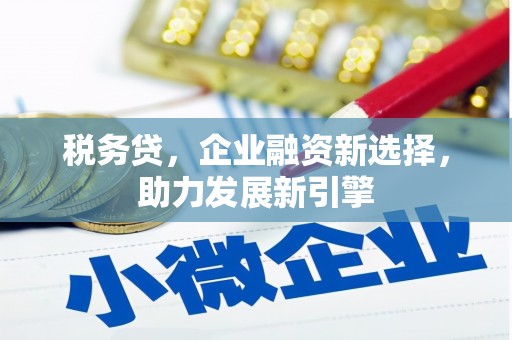 叶县税务贷，企业融资新选择，助力发展新引擎