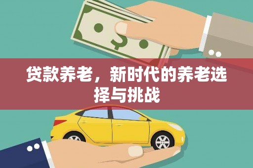 叶县贷款养老，新时代的养老选择与挑战