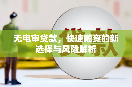 叶县无电审贷款，快速融资的新选择与风险解析