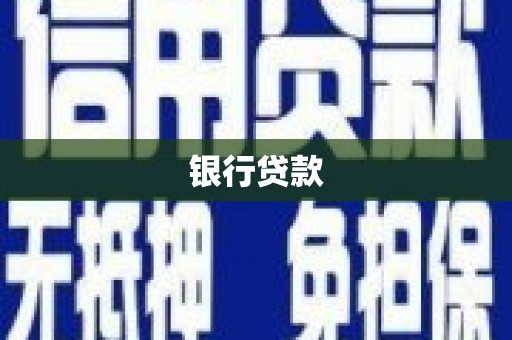 叶县银行贷款