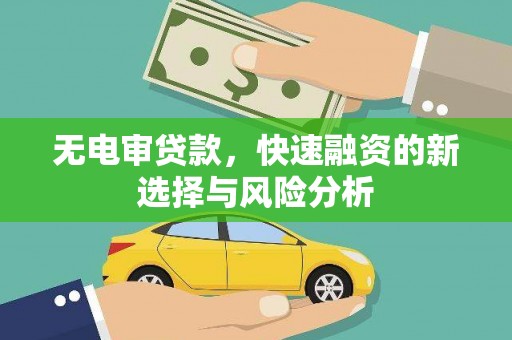 叶县无电审贷款，快速融资的新选择与风险分析