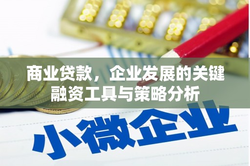 叶县商业贷款，企业发展的关键融资工具与策略分析