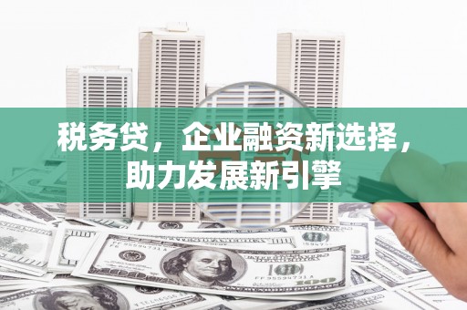 叶县税务贷，企业融资新选择，助力发展新引擎
