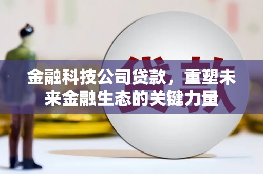 叶县金融科技公司贷款，重塑未来金融生态的关键力量